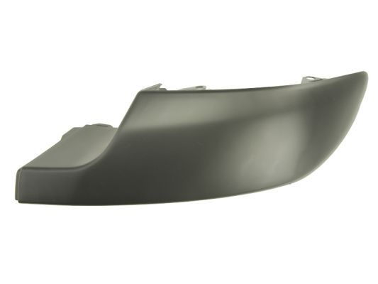 BLIC 5703-05-5519976P Trim/Protection Strip, bumper