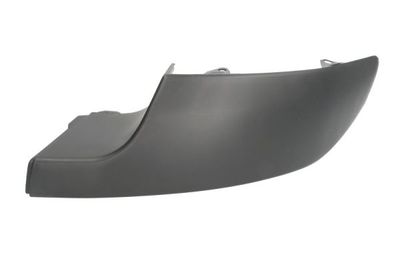 Trim/Protection Strip, bumper BLIC 5703-05-5519980P