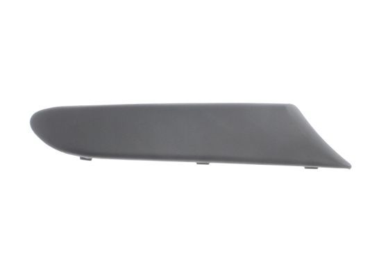 BLIC 5703-05-6435922P Trim/Protection Strip, bumper