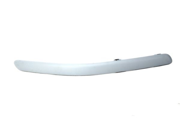 BLIC 5703-05-8161922P Trim/Protection Strip, bumper