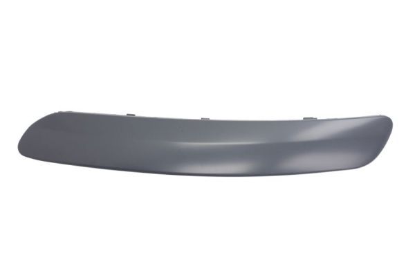 BLIC 5703-05-9533923P Trim/Protection Strip, bumper