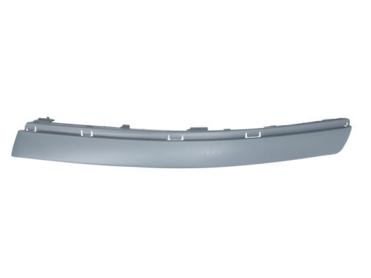 BLIC 5703-05-9539923P Trim/Protection Strip, bumper