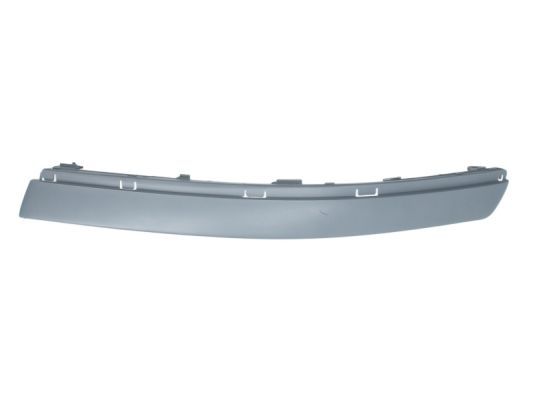 BLIC 5703-05-9539924P Trim/Protection Strip, bumper