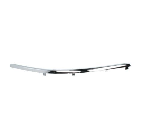 BLIC 5703-05-9539926P Trim/Protection Strip, bumper