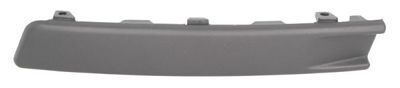 Trim/Protection Strip, bumper BLIC 5703-05-9540923P