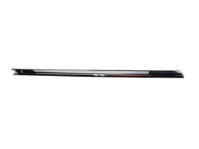 Trim/Protection Strip, bumper BLIC 5703-05-9540971P