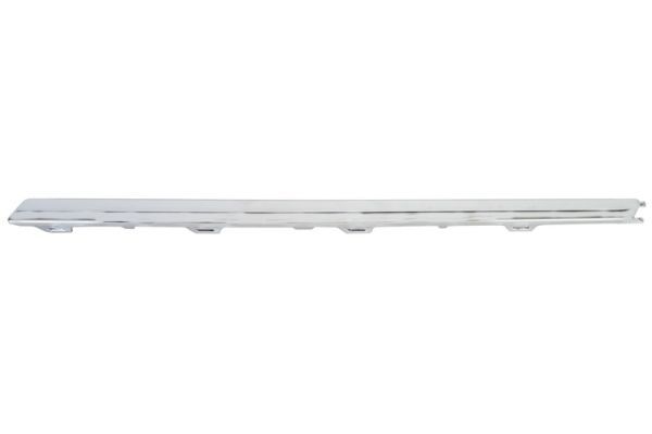 BLIC 5703-05-9540972P Trim/Protection Strip, bumper