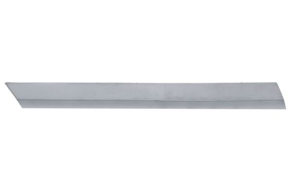 BLIC 5703-05-9579924P Trim/Protection Strip, bumper