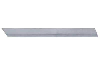 Trim/Protection Strip, bumper BLIC 5703-05-9579924P