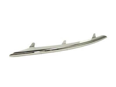 Trim/Protection Strip, bumper BLIC 5703-05-9585923P