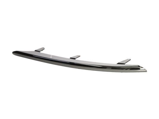 BLIC 5703-05-9585924P Trim/Protection Strip, bumper