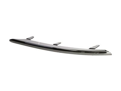 Trim/Protection Strip, bumper BLIC 5703-05-9585924P