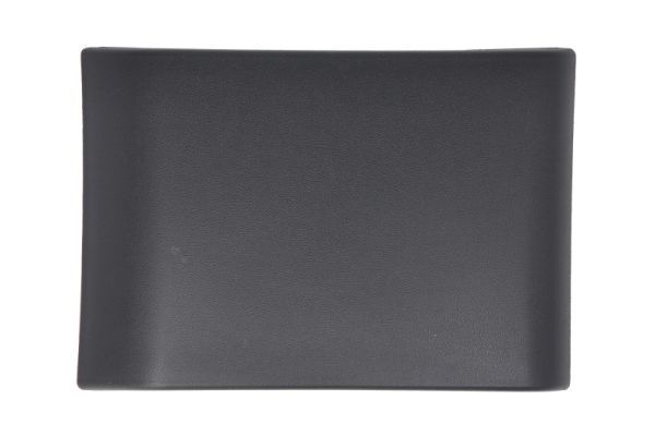 BLIC 5703-06-6089576PP Trim/Protection Strip, quarter panel