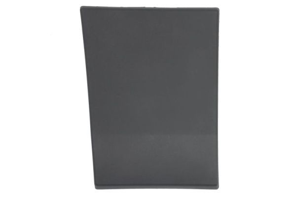 BLIC 5703-06-9564572P Trim/Protection Strip, quarter panel