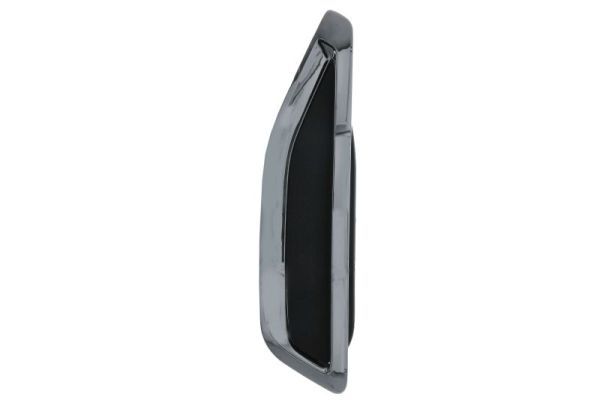 BLIC 5703-08-0098373P Trim/Protection Strip, wing