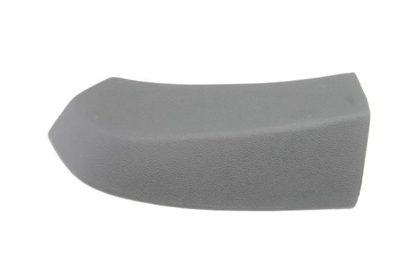 BLIC 5703-12-0516998P Headlight Trim