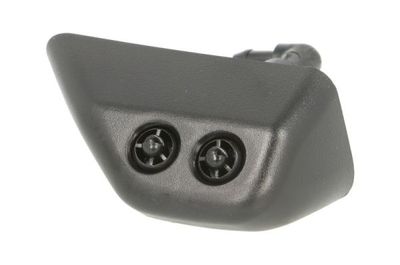 Washer Fluid Jet, headlight cleaning BLIC 5902-06-0131P