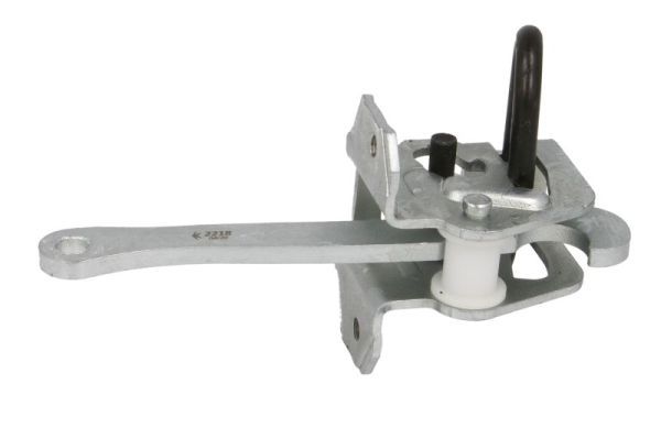 BLIC 6004-00-0200P Door Check