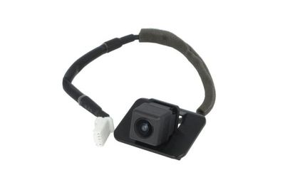 Rear View Camera, parking distance control BLIC 6006-00-0024P