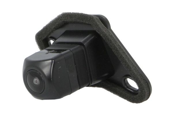 BLIC 6006-00-0034P Parking Distance Control