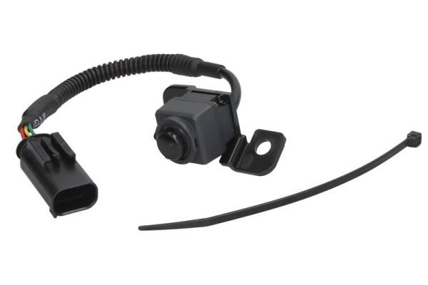 BLIC 6006-00-0042P Rear View Camera, parking distance control