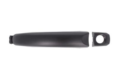 Exterior Door Handle BLIC 6010-01-056401P