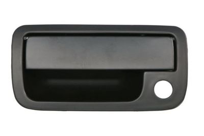 Exterior Door Handle BLIC 6010-01-056417PP