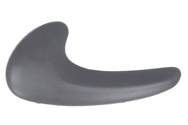 BLIC 6010-02-018409PPP Exterior Door Handle