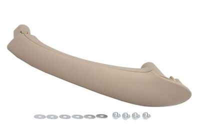 Exterior Door Handle BLIC 6010-02-031408PP