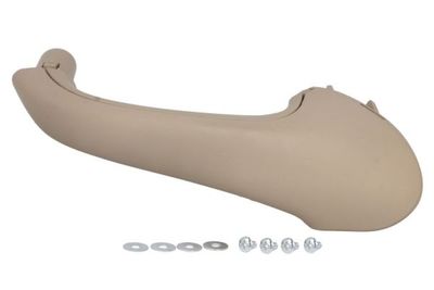Exterior Door Handle BLIC 6010-02-031409PP