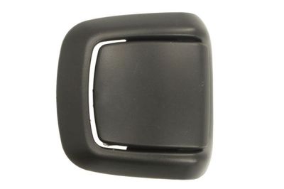 Exterior Door Handle BLIC 6010-03-046409C