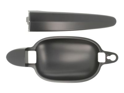 Exterior Door Handle BLIC 6010-05-017403P