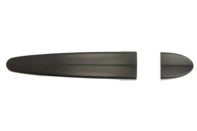 Exterior Door Handle BLIC 6010-05-018403P