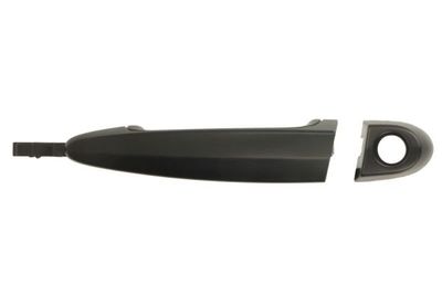 Exterior Door Handle BLIC 6010-05-020401P