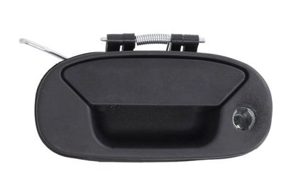 Exterior Door Handle BLIC 6010-07-029417PP