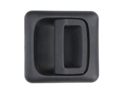 Exterior Door Handle BLIC 6010-07-031403P