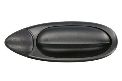 Exterior Door Handle BLIC 6010-07-0329404P
