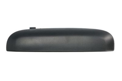 Exterior Door Handle BLIC 6010-07-0335403P