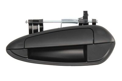 Exterior Door Handle BLIC 6010-07-036403P