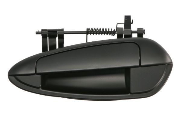 BLIC 6010-07-036403PP Exterior Door Handle
