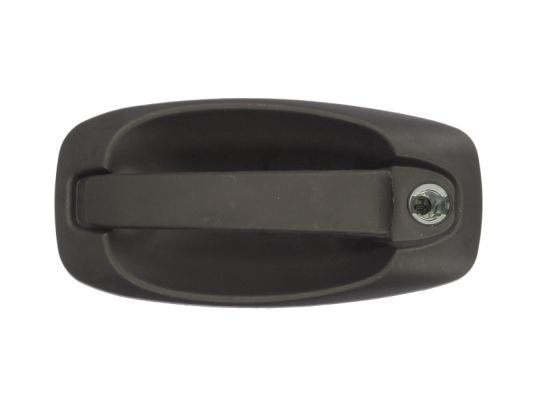 BLIC 6010-07-043401P Exterior Door Handle