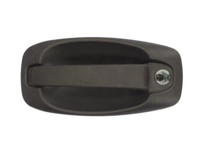 Exterior Door Handle BLIC 6010-07-043401P