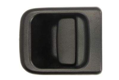 Exterior Door Handle BLIC 6010-09-032401PP