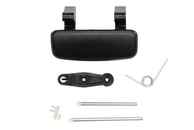 Exterior Door Handle BLIC 6010-09-032404P