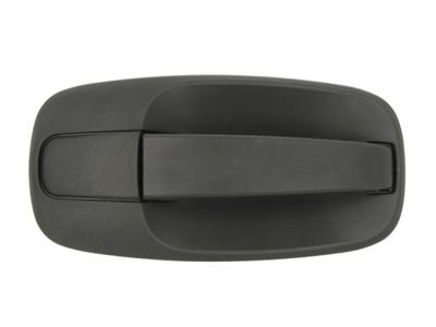 Exterior Door Handle BLIC 6010-09-041402P