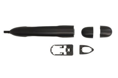 Exterior Door Handle BLIC 6010-09-046402P
