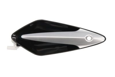 Exterior Door Handle BLIC 6010-12-049401P