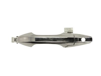 Exterior Door Handle BLIC 6010-12-051401P
