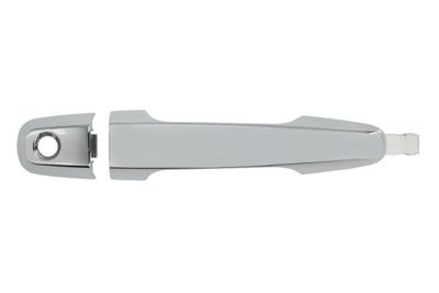 Exterior Door Handle BLIC 6010-15-041402PP