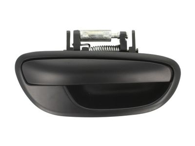 Exterior Door Handle BLIC 6010-17-015404P